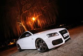 White Beast: Audi S5 by Senner Tuning