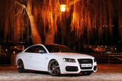 White Beast: Audi S5 by Senner Tuning