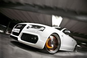 White Beast: Audi S5 by Senner Tuning