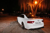 White Beast: Audi S5 by Senner Tuning