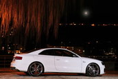 White Beast: Audi S5 by Senner Tuning