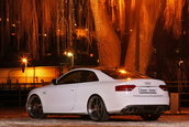 White Beast: Audi S5 by Senner Tuning