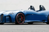 Wiesmann