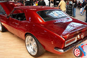 World of Wheels 2008