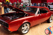 World of Wheels 2008