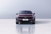 Wuling Xing Guang
