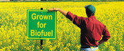 Noua revolutie in domeniul uleiurilor: lubrifianti specializati pe bio-carburanti. Ce parere ai?
