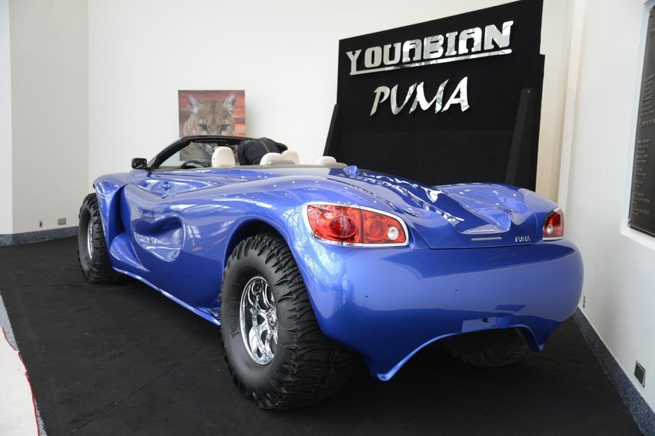 Youabian Puma