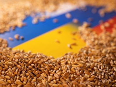 O primă navă cu cereale ucrainene a...